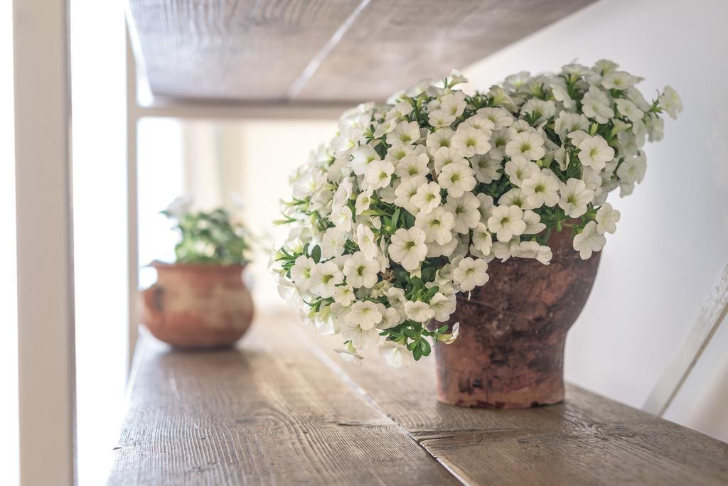 ガラティーナ Li Pappi Antico Casale Bed & Breakfast エクステリア 写真